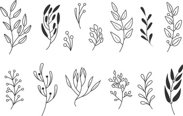 Hand drawn doodle vector illustration of pine, fir and mistletoe branches in minimalist linear style. Elegant winter botanical elements perfect for Christmas wreaths, holiday decorations, greeting car