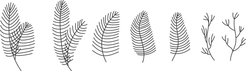 Naklejka premium Hand drawn doodle vector illustration of pine, fir and mistletoe branches in minimalist linear style. Elegant winter botanical elements perfect for Christmas wreaths, holiday decorations, greeting car