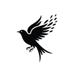 Obraz premium Black silhouette of a bird in flight with spread wings and tail feathers