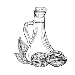 Monochrome natural walnut oil in glass bottle line art black ink sketch. Hand drawn whole peeled walnut kernel, leaves isolated illustration. Glassware with decorative cork and nuts for culinary