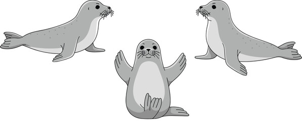 Cute seal cartoon vector set with sitting and resting poses marine animal character illustrations © Sumon Creative