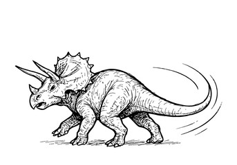 Triceratops hand drawn simple sketch vector illustration © Shutoda