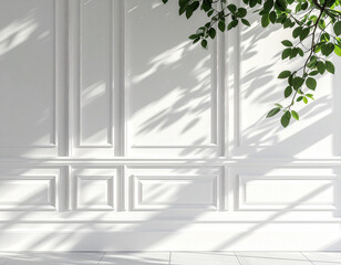 White Wall Texture with Tree Shadows