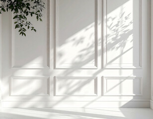 White Wall Texture with Tree Shadows