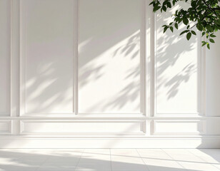 White Wall Texture with Tree Shadows
