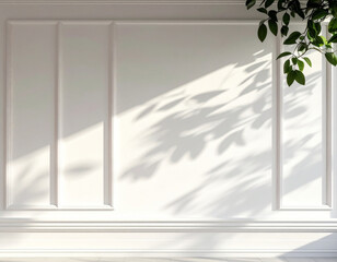 White Wall Texture with Tree Shadows