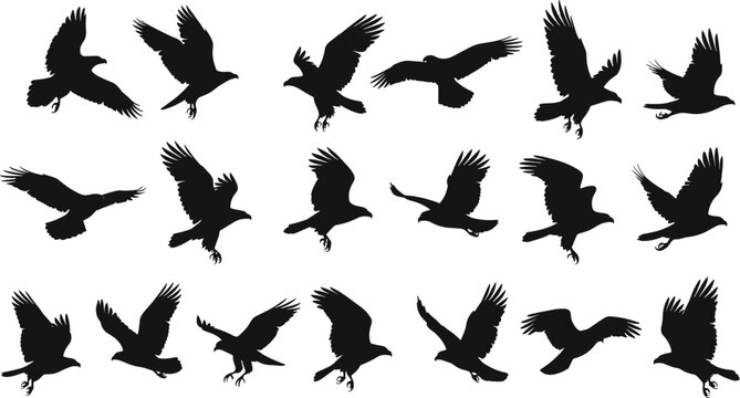  Flying bird silhouette vector set with multiple wing positions dynamic wildlife black aerial poses