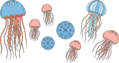 Hand drawn jellyfish cartoon vector set with colorful marine creatures isolated on white background illustration. © Sumon Creative