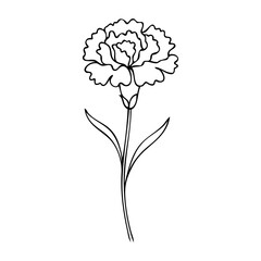 Dibujo de l&iacute;nea continua de clavel o rosa con tallo y hojas	