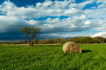 A rain cloud over a meadow with a tree and a bale of hay