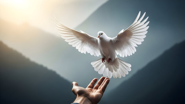A white dove taking flight from an outstretched hand towards a sunlit sky