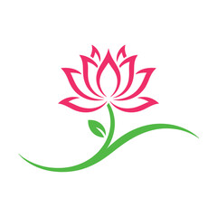 Pink lotus flower with green stem and leaf on white background