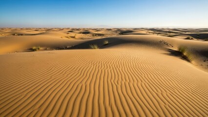 Rippled sand dunes under clear blue sky in arid desert landscape with sparse
