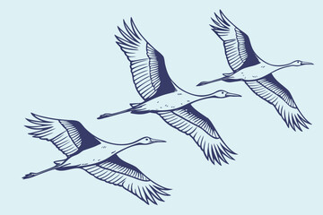A group of birds flying in V-formation