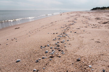 Kleinen Muscheln am Sandstrand mit Meer © Marc