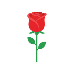Fototapeta premium Illustration of a single red rose