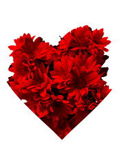 color shifted heart shaped red daisies png