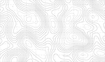 Light Gray Topographic Map Pattern Background &ndash; Subtle Contour Lines Abstract Texture for Minimalist Designs, Line topography map contour background.