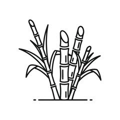 A black and white line drawing of a bamboo plant with multiple stems and leaves growing from the ground in a simple style