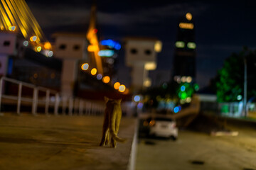 Obraz premium The backdrop of the evening sky along the river, with riverside houses and communities, or tall buildings in the capital city, varies from place to place, but the natural beauty remains unchanged.