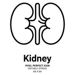 Kidney anatomy icon for medical and health related designs