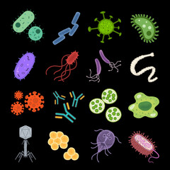 Various types of germs