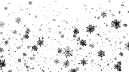 Snowflakes falling on a black background, isolated snowfall effect, festive Christmas background, white snow overlay for photo editing, Realistic winter atmosphere