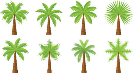 Palm Tree Vector Illustration Set with Tropical Coconut Palms in Different Shapes for Summer, Beach, Island, and Nature Design Projects