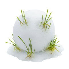 Young green grass sprouting through a white snowball, concept of changing seasons and the power of nature isolated on transparent or white background, png
