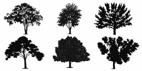 Silhouettes of various deciduous trees against a plain white background