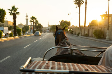 Horse-drawn carriage travels down a street at sunset in a city with palm trees and a distant minaret in Luxor