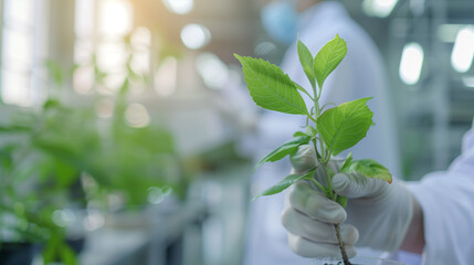 Scientist in laboratory holding a green plant with healthy leaves, showcasing research and innovation in botany and environmental science. Ideal for scientific research and education content