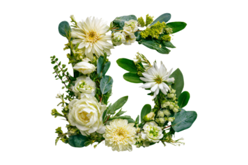 Floral Letter E Arrangement on White Background