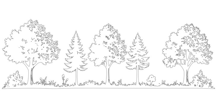 Continuous line drawing illustration of a forest border featuring deciduous and coniferous trees with grass and bushes isolated on a white background for design use.