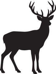 Wild Deer Silhouette Standing Isolated on White