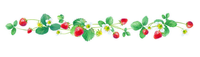 イチゴの水彩イラストでデザインした飾罫線　ベクター
