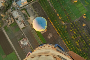 Colorful hot air balloon floats over a green landscape in the early morning in Luxor