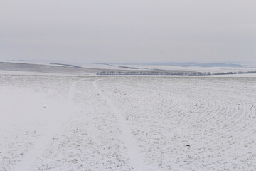 A snowy landscape with a road