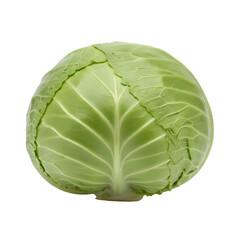 Fresh green cabbage