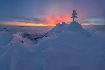 Majestic winter mountain landscape with a snow-covered summit and cross rising above a sea of clouds. Soft pastel sunrise colors create a calm, spiritual and atmospheric alpine scene.