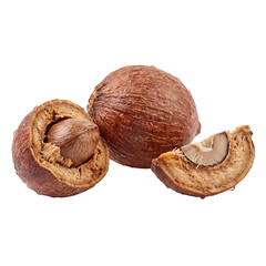 Fresh whole and cracked shea nuts showing rough brown shells and creamy kernels, highlighting natural texture, rich oils, and raw botanical quality for food, cosmetic, and agriculture concepts.