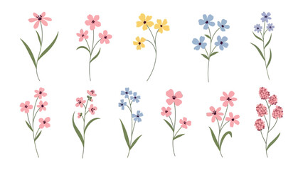 Floral Fantasia: A collection of exquisite, detailed floral illustrations, showcasing a vibrant array of flower species in full bloom.