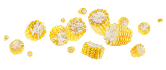 Peeled and sliced corn cobs fly and levitate in space. Isolated on white.
