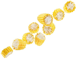 Peeled and sliced corn cobs fly in space forming a chain shape. Isolated on white.