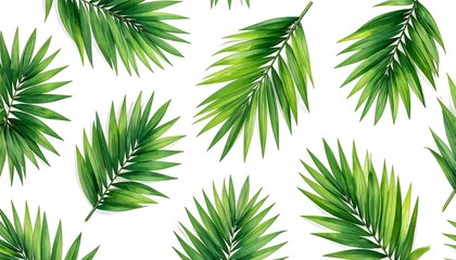 Tropical Palm Leaves Pattern Seamless Watercolor Illustration.