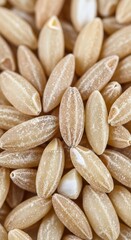 Close-up of Brown Rice Grains - A Healthy and Nutritious Staple.