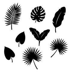 Tropical Leaves and Flowers Silhouette Collection