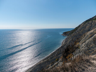 Panoramic view of the sea from a rocky hillside with pine trees under a clear blue summer sky