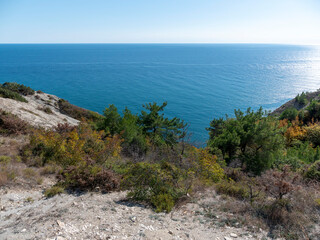 Panoramic view of the sea from a rocky hillside with pine trees under a clear blue summer sky