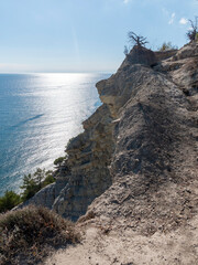 Panoramic view of the sea from a rocky hillside with pine trees under a clear blue summer sky